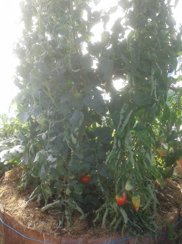 20190809_090314.jpg